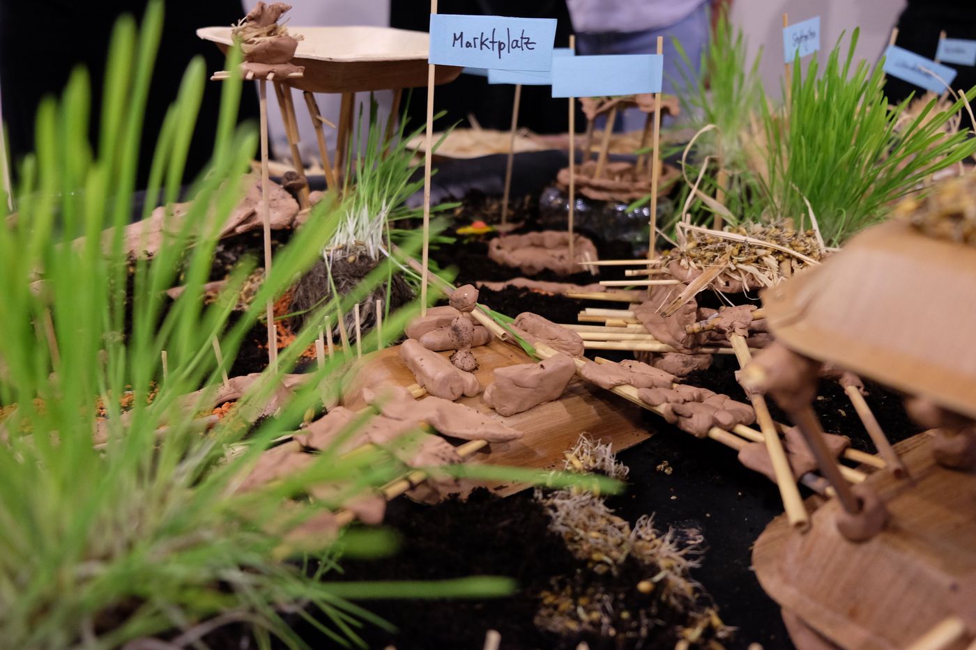 Ökologie, Kunst, Klimaanpassung — wie wollen wir uns wandeln?