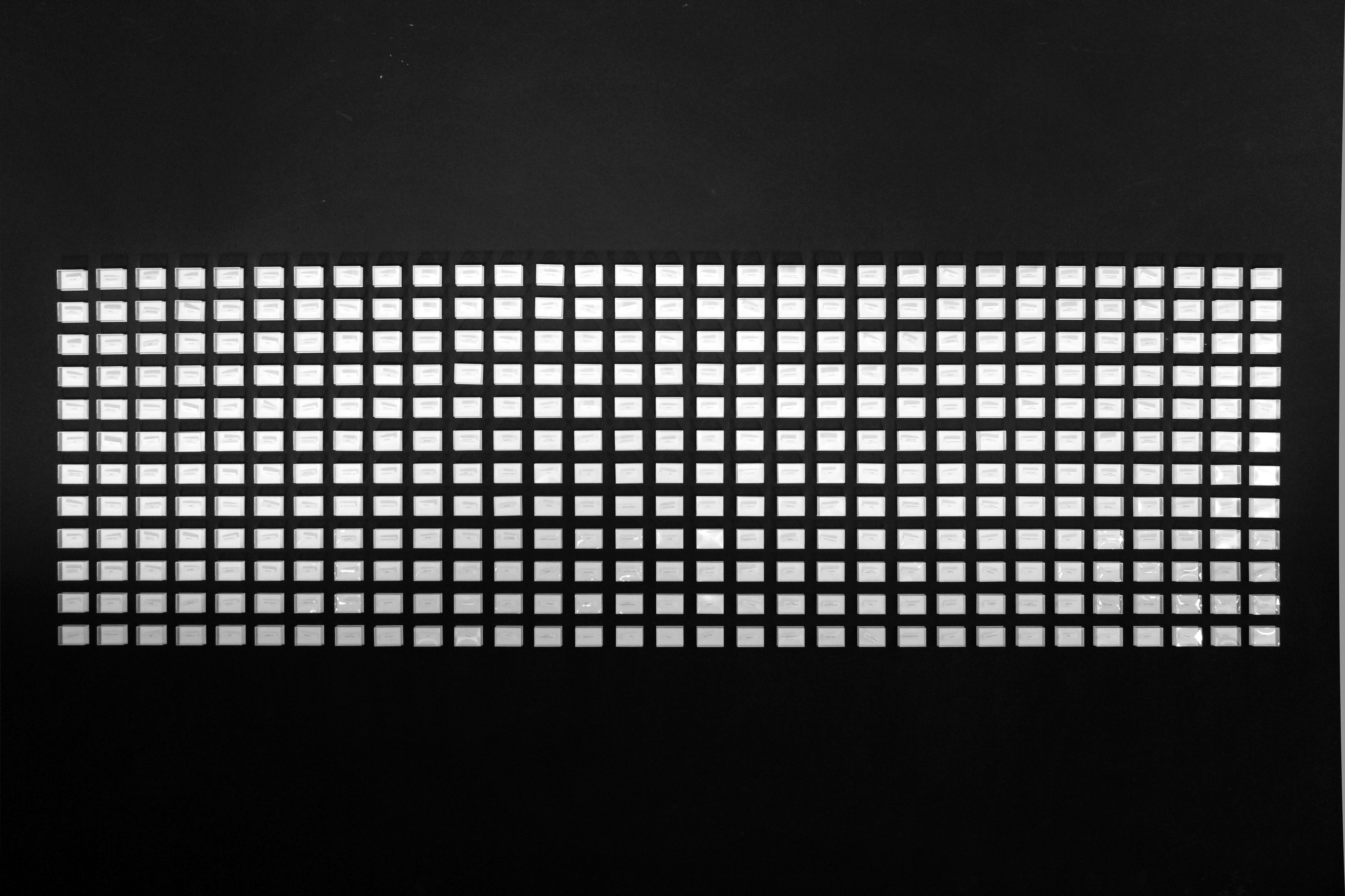 In-no-sense / Berlin
